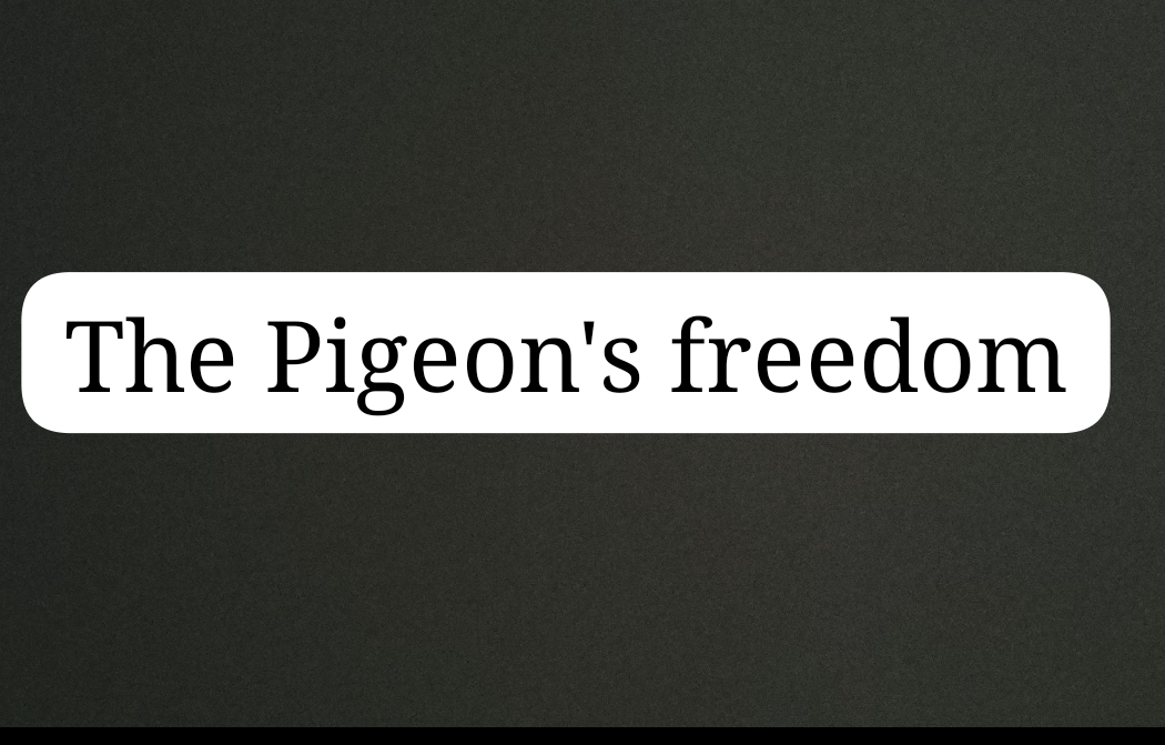 The Pigeon’s Freedom